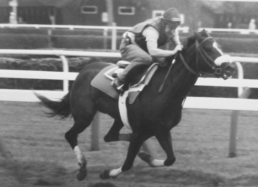 Paul Mundy racing at Saratoga, New York